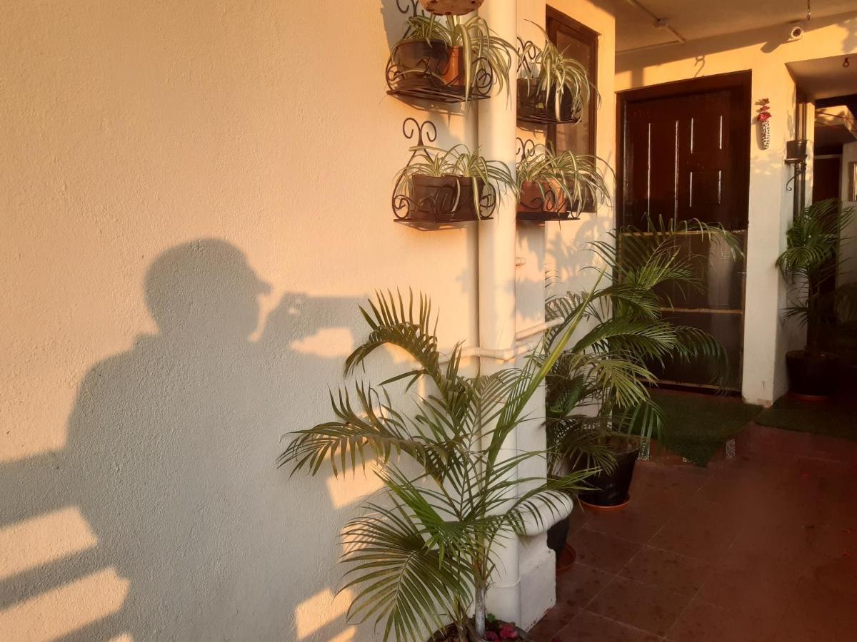 Apartmán Tiny House For Couple Madikeri Exteriér fotografie